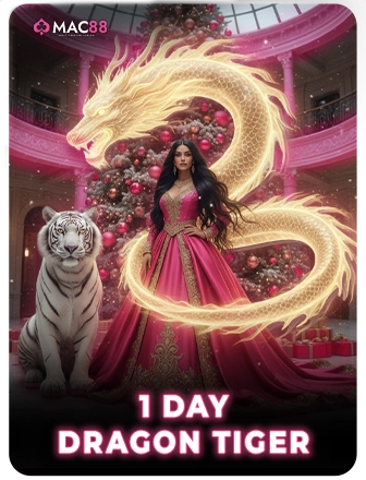 1 Day Dragon Tiger